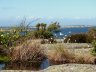 DSC07323.JPG - 