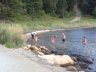 09082008332.jpg - 